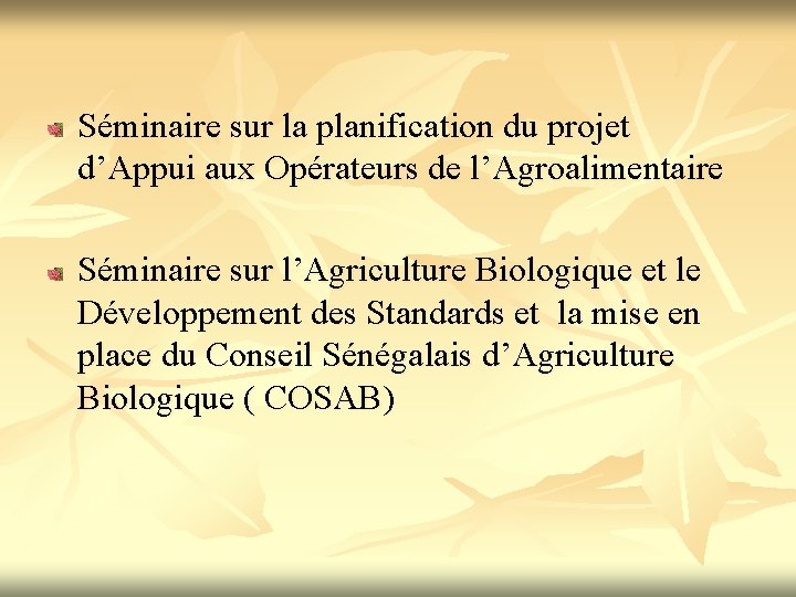 Séminaire sur la planification du projet d’Appui aux Opérateurs de l’Agroalimentaire Séminaire sur l’Agriculture