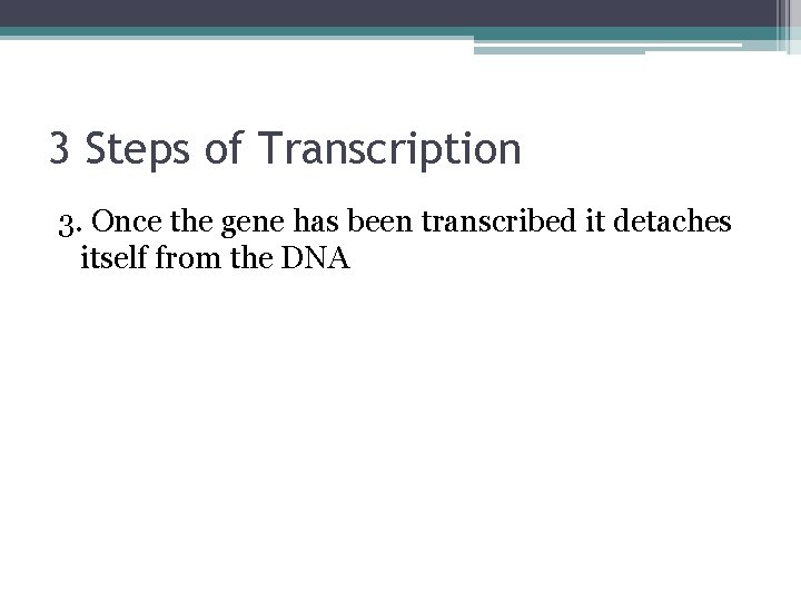 3 Steps of Transcription 3. Once the gene has been transcribed it detaches itself
