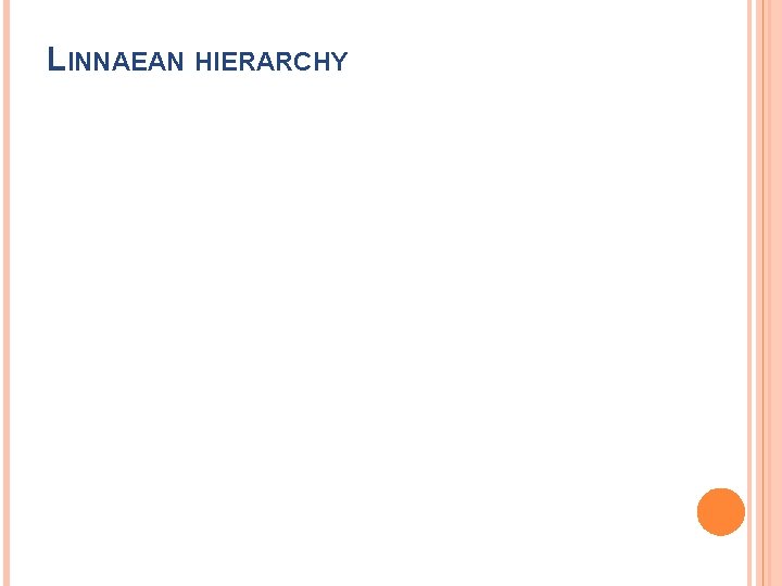 LINNAEAN HIERARCHY LINNAEAN HIERARCHY