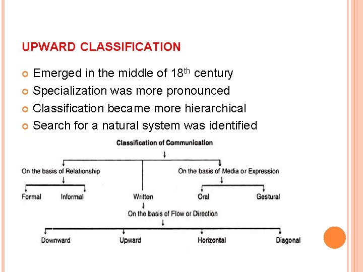 UPWARD CLASSIFICATION Emerged in the middle of 18 th century Specialization was more pronounced UPWARD CLASSIFICATION Emerged in the middle of 18 th century Specialization was more pronounced