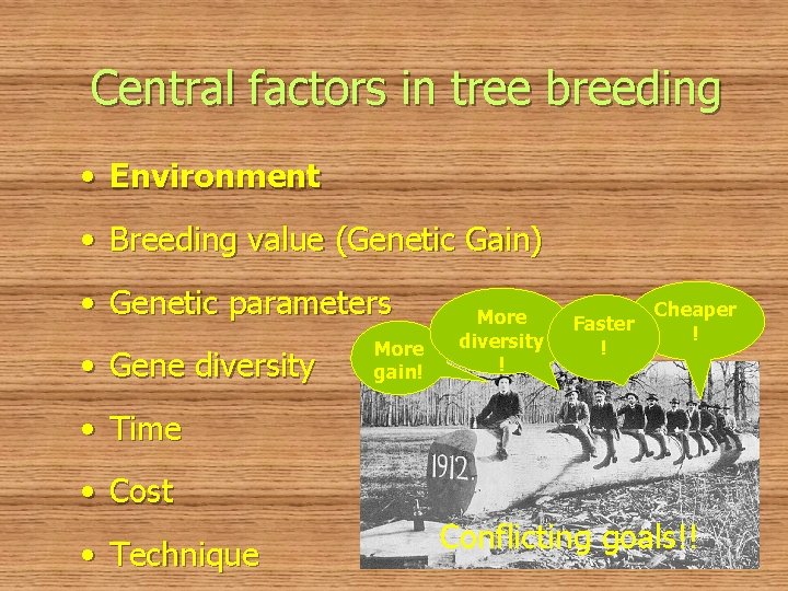 Central factors in tree breeding • Environment • Breeding value (Genetic Gain) • Genetic