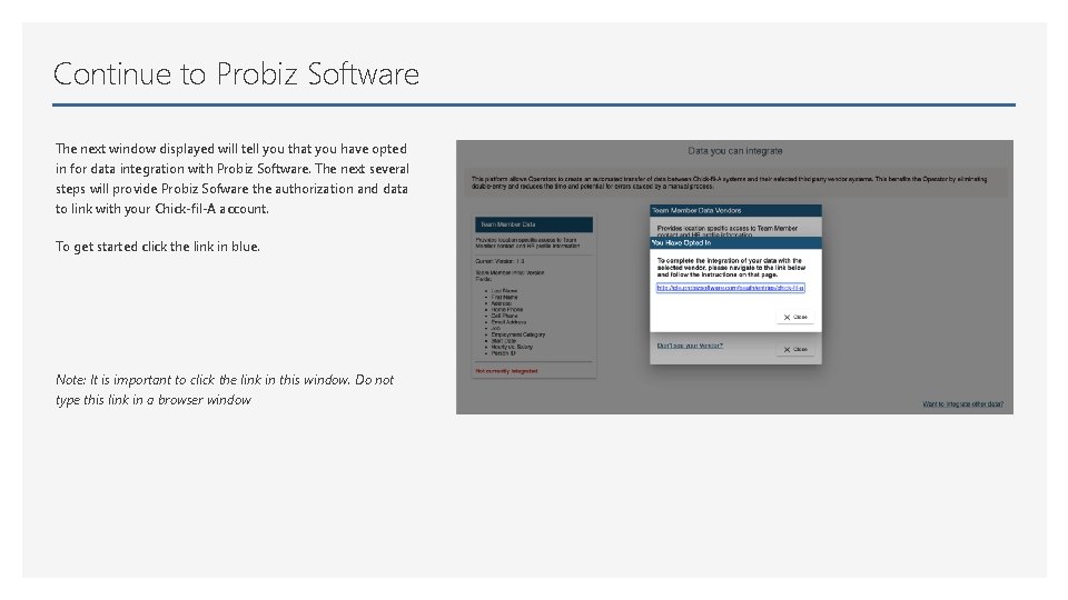 Continue to Probiz Software The next window displayed will tell you that you have