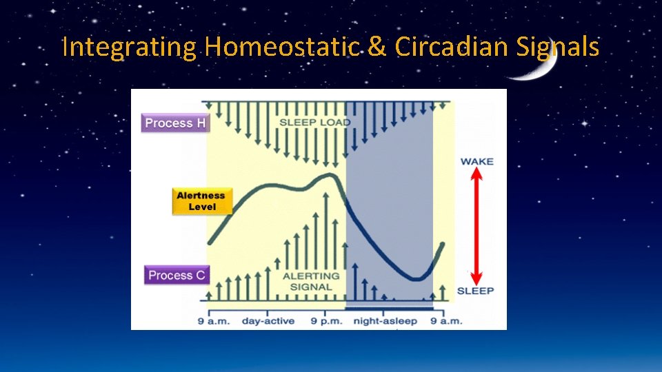 Integrating Homeostatic & Circadian Signals 