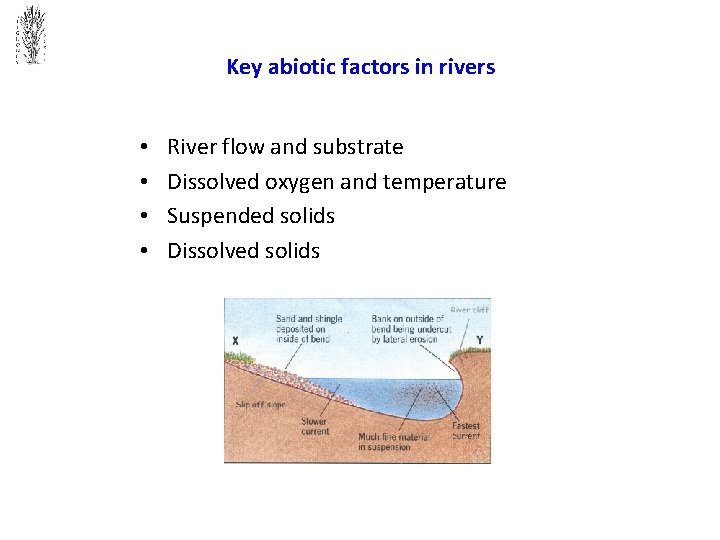 Key abiotic factors in rivers • • River flow and substrate Dissolved oxygen and