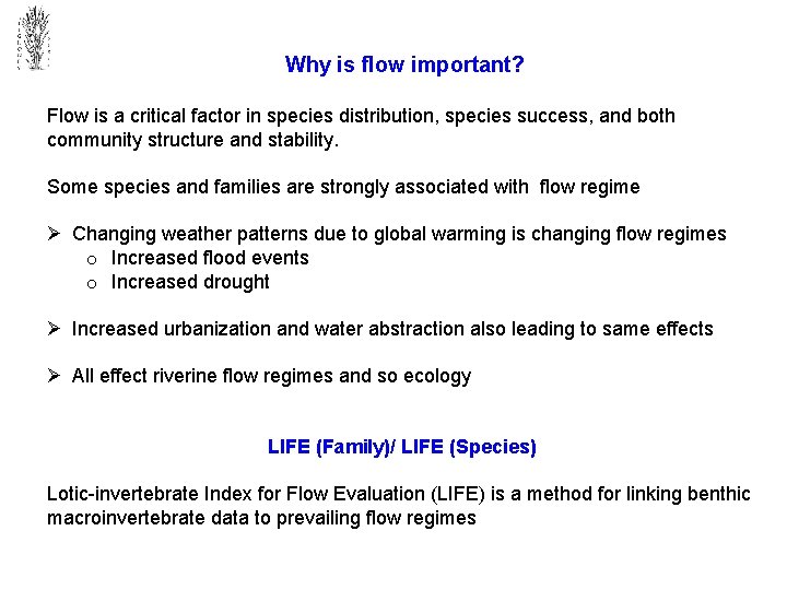 Why is flow important? Flow is a critical factor in species distribution, species success,
