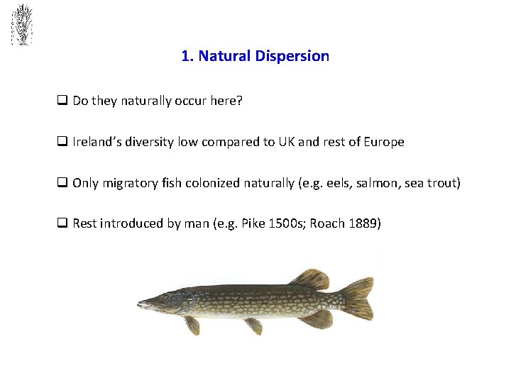 1. Natural Dispersion q Do they naturally occur here? q Ireland’s diversity low compared