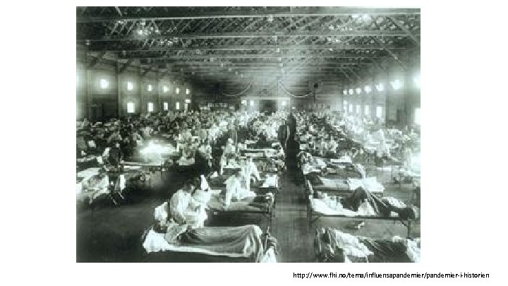 http: //www. fhi. no/tema/influensapandemier/pandemier-i-historien 