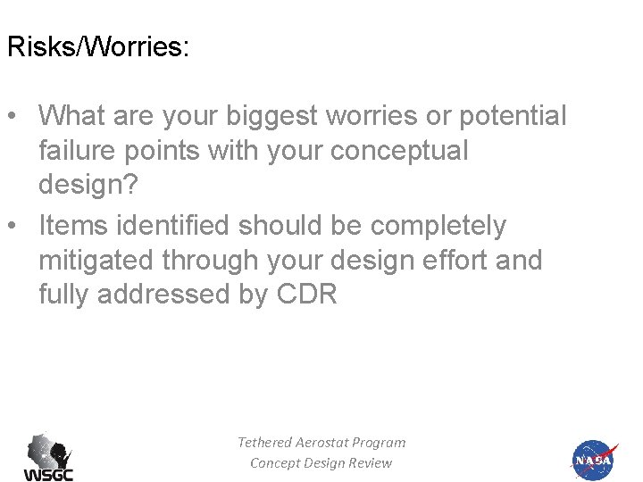 Risks/Worries: • What are your biggest worries or potential failure points with your conceptual