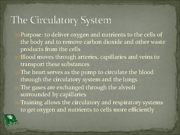 The Circulatory System Purpose: to deliver oxygen and nutrients to the cells of the