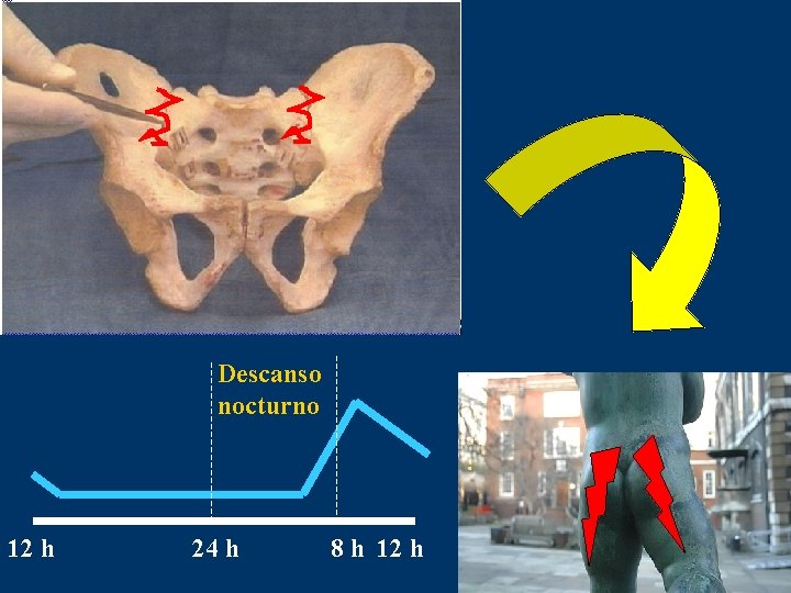 Descanso nocturno 12 h 24 h 8 h 12 h 