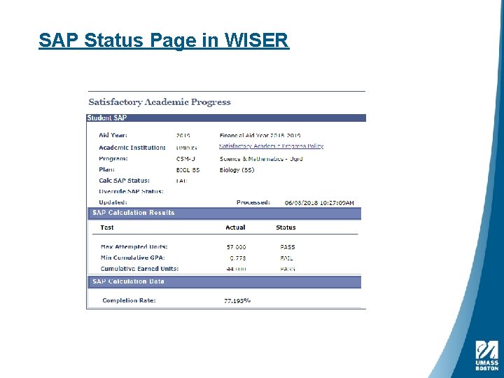 SAP Status Page in WISER 