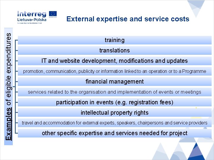 Examples of eligible expenditures External expertise and service costs training translations IT and website