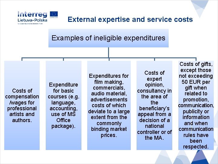 External expertise and service costs Examples of ineligible expenditures Costs of compensation /wages for