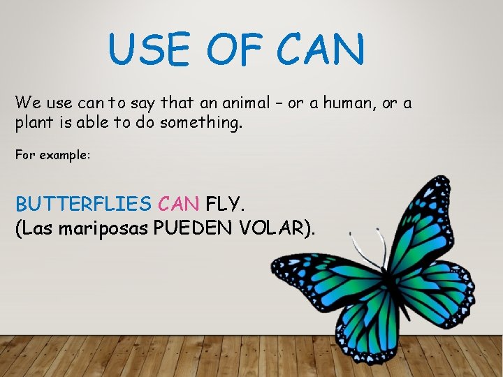 USE OF CAN We use can to say that an animal – or a