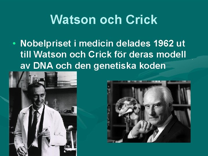 Watson och Crick • Nobelpriset i medicin delades 1962 ut till Watson och Crick