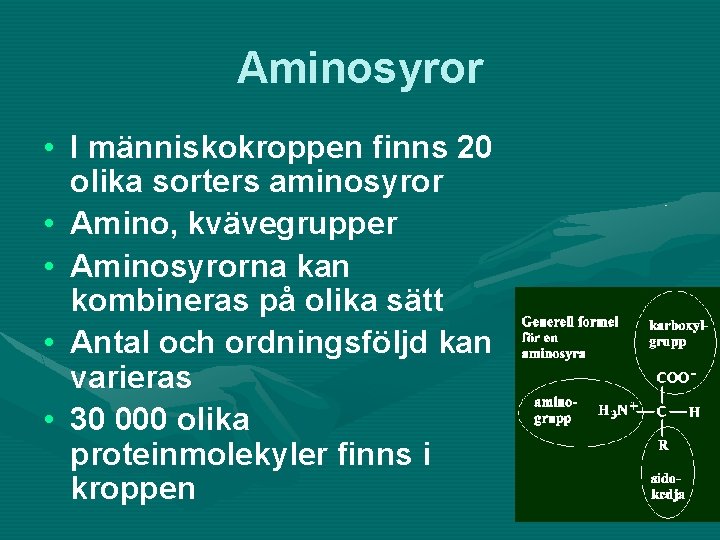 Aminosyror • I människokroppen finns 20 olika sorters aminosyror • Amino, kvävegrupper • Aminosyrorna
