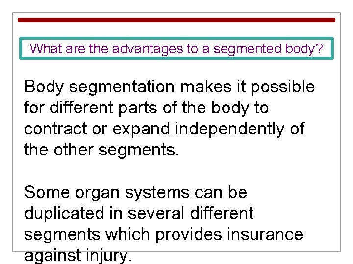 What are the advantages to a segmented body? Body segmentation makes it possible for