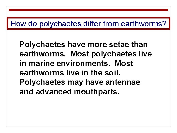 How do polychaetes differ from earthworms? Polychaetes have more setae than earthworms. Most polychaetes