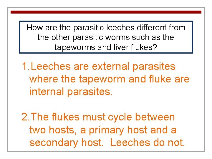 How are the parasitic leeches different from the other parasitic worms such as the