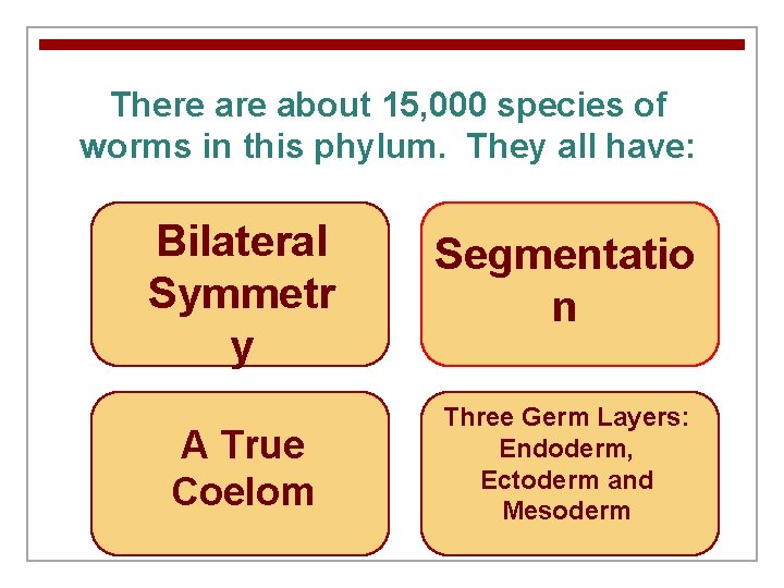 There about 15, 000 species of worms in this phylum. They all have: Bilateral