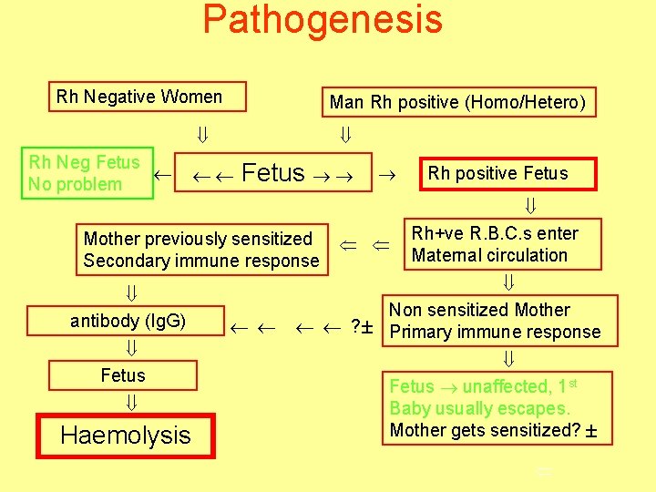 Pathogenesis Rh Negative Women Man Rh positive (Homo/Hetero) Rh Neg Fetus No problem Fetus