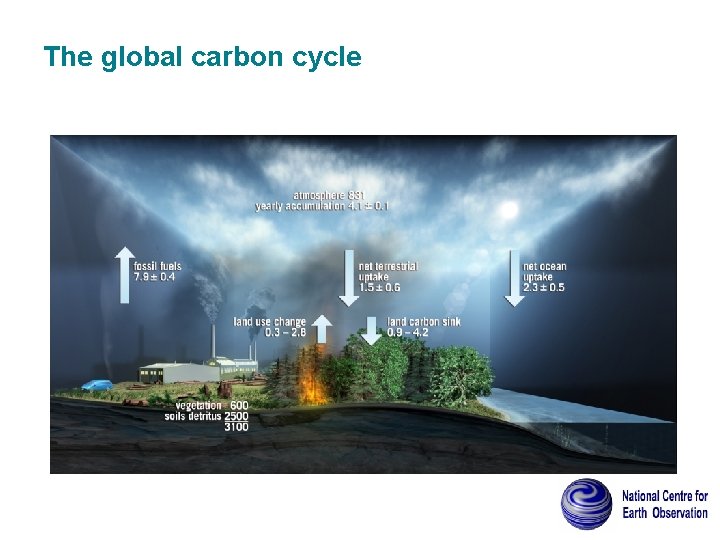 The global carbon cycle 