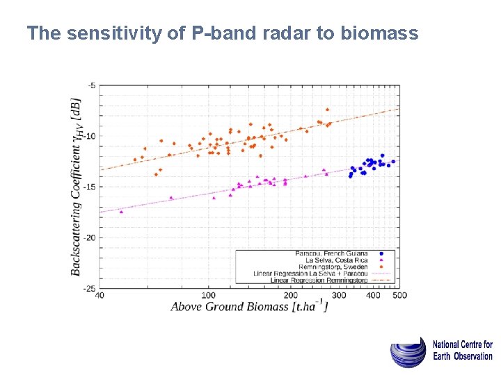 The sensitivity of P-band radar to biomass 