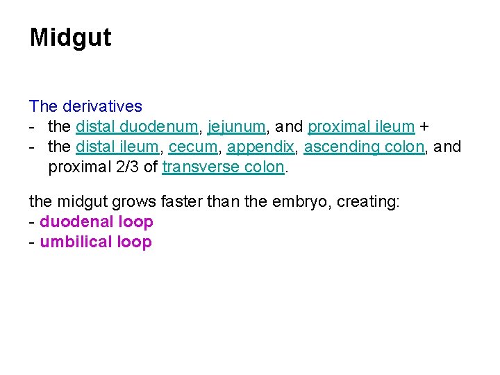 Midgut The derivatives - the distal duodenum, jejunum, and proximal ileum + - the