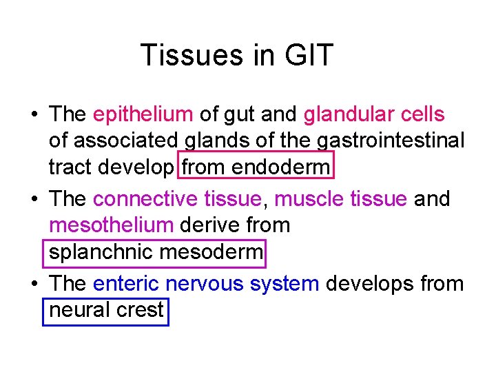 Tissues in GIT • The epithelium of gut and glandular cells of associated glands