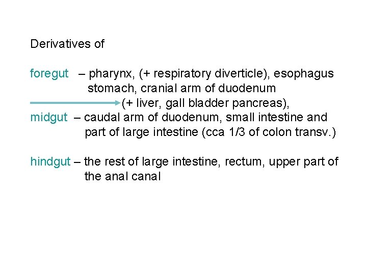 Derivatives of foregut – pharynx, (+ respiratory diverticle), esophagus stomach, cranial arm of duodenum