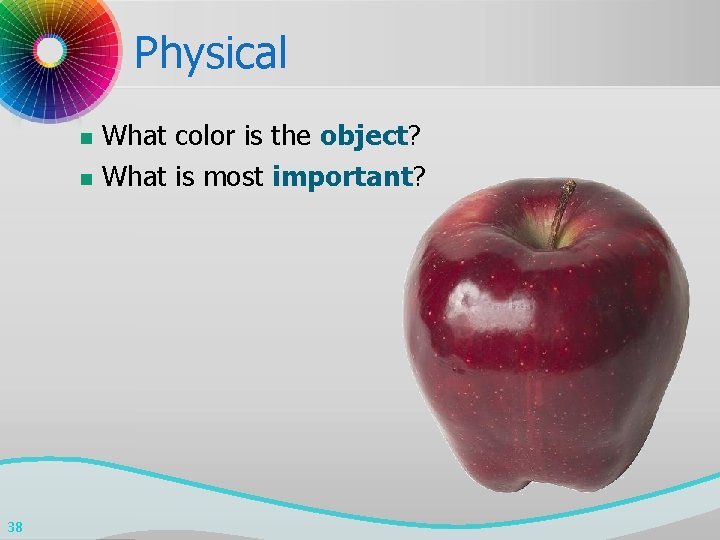 Physical n n 38 What color is the object? What is most important? 