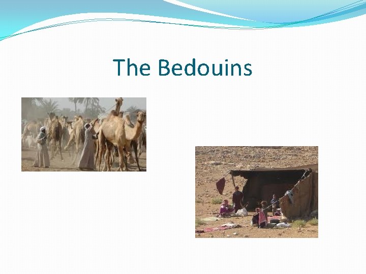 The Bedouins 