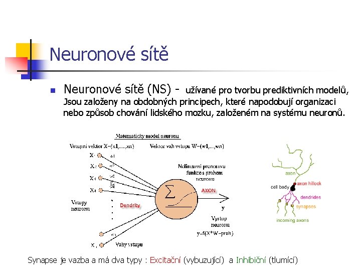 Neuronové sítě n Neuronové sítě (NS) - užívané pro tvorbu prediktivních modelů, Jsou založeny