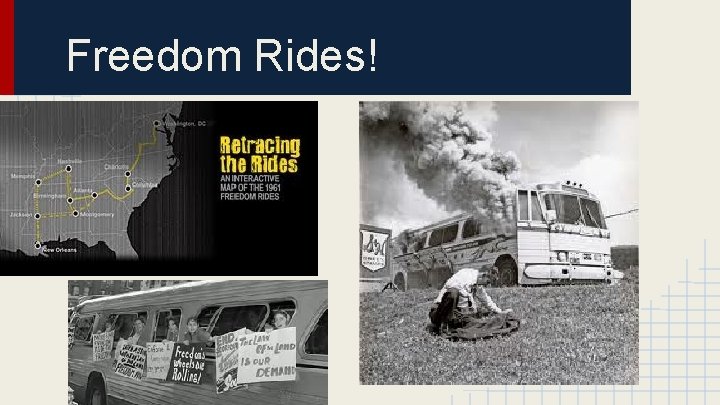 Freedom Rides! 