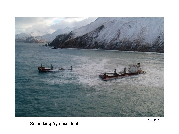 Selendang Ayu accident USFWS 