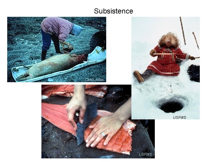 Subsistence Carol Jolles USFWS 