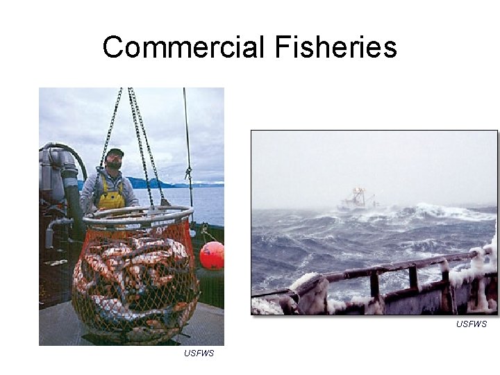 Commercial Fisheries USFWS 