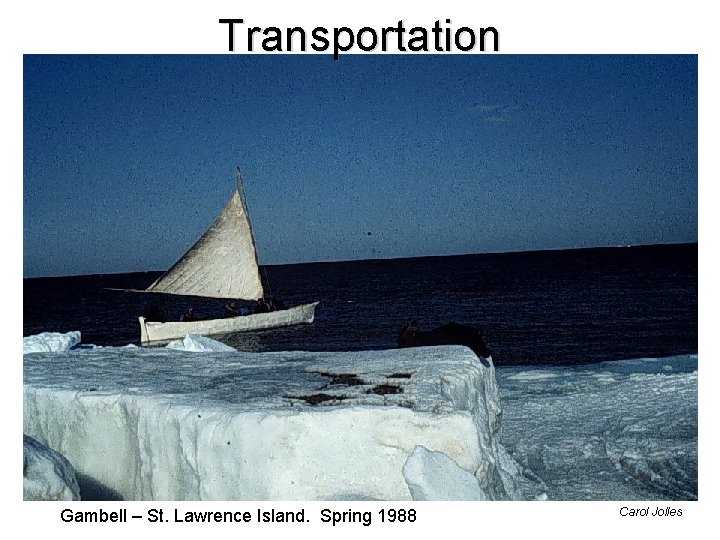 Transportation Gambell – St. Lawrence Island. Spring 1988 Carol Jolles 