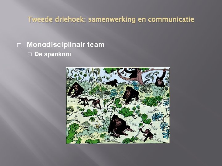 Tweede driehoek: samenwerking en communicatie � Monodisciplinair team � De apenkooi 