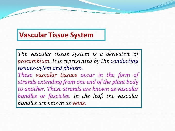 Vascular Tissue System The vascular tissue system is a derivative of procambium. It is