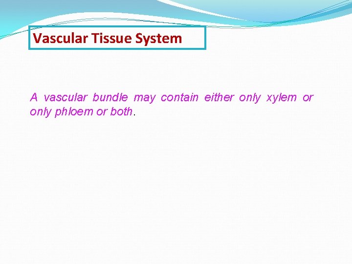 Vascular Tissue System A vascular bundle may contain either only xylem or only phloem