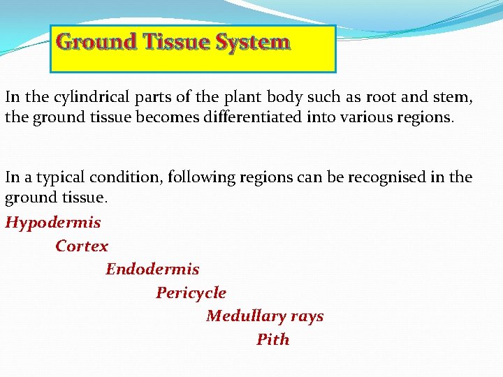 Ground Tissue System In the cylindrical parts of the plant body such as root