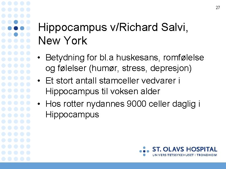27 Hippocampus v/Richard Salvi, New York • Betydning for bl. a huskesans, romfølelse og