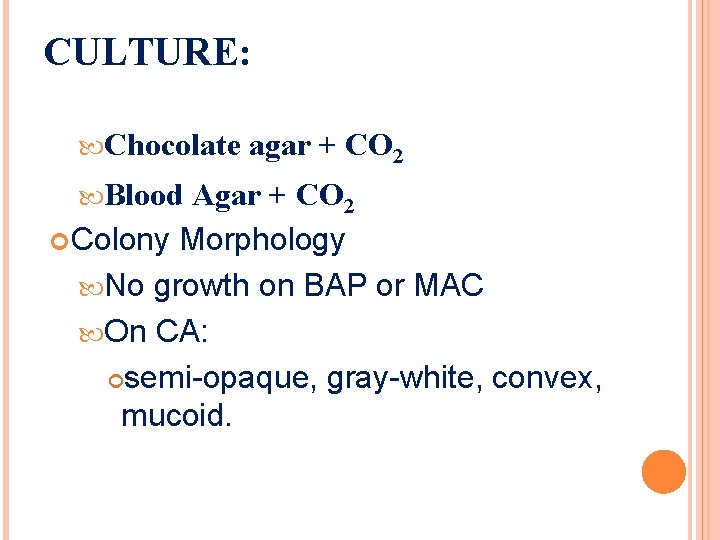 CULTURE: Chocolate Blood agar + CO 2 Agar + CO 2 Colony Morphology No