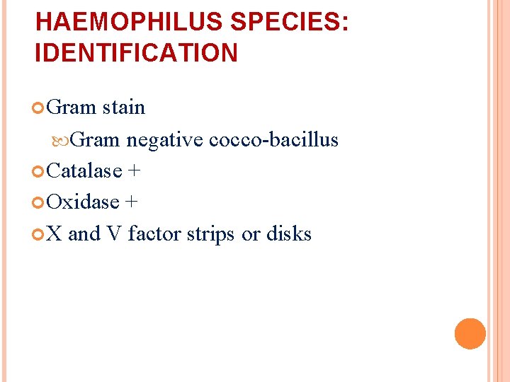 HAEMOPHILUS SPECIES: IDENTIFICATION Gram stain Gram negative cocco-bacillus Catalase + Oxidase + X and