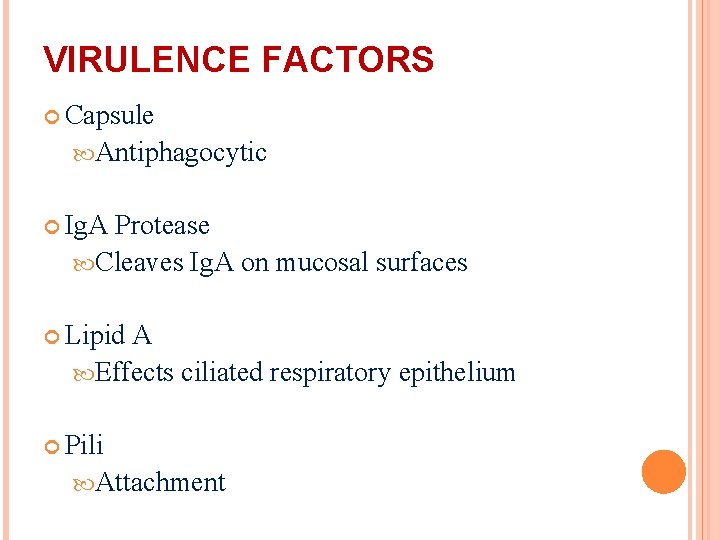 VIRULENCE FACTORS Capsule Antiphagocytic Ig. A Protease Cleaves Ig. A on mucosal surfaces Lipid
