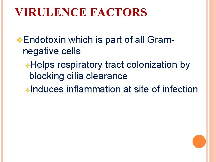 VIRULENCE FACTORS v. Endotoxin which is part of all Gramnegative cells v. Helps respiratory