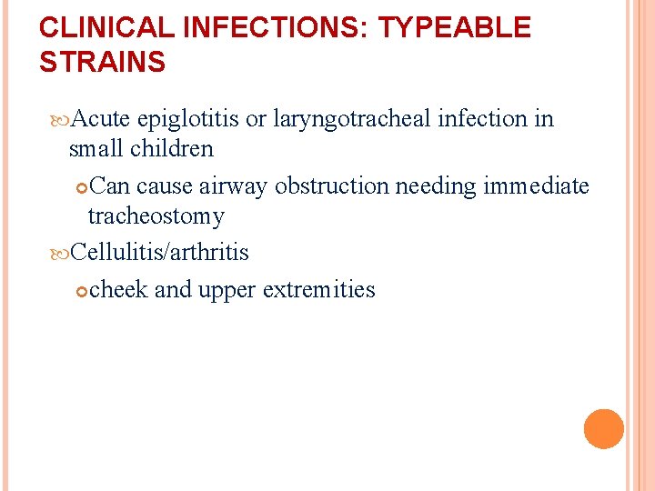 CLINICAL INFECTIONS: TYPEABLE STRAINS Acute epiglotitis or laryngotracheal infection in small children Can cause