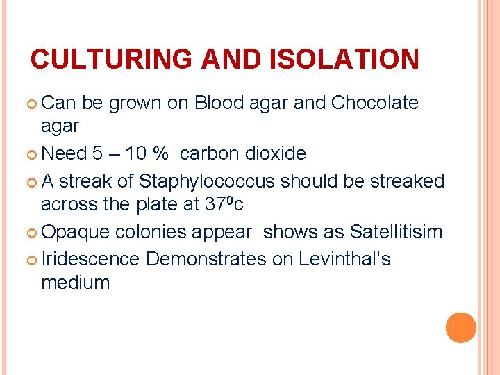 CULTURING AND ISOLATION Can be grown on Blood agar and Chocolate agar Need 5