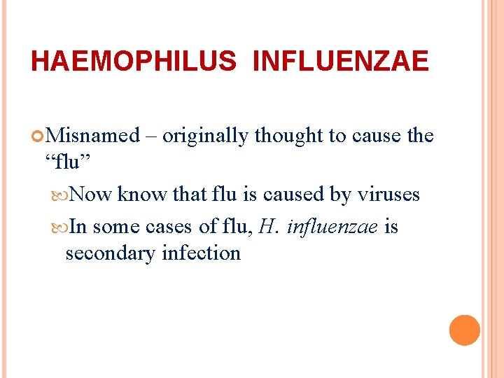HAEMOPHILUS INFLUENZAE Misnamed – originally thought to cause the “flu” Now know that flu